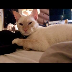 Meet your Posher, Zack